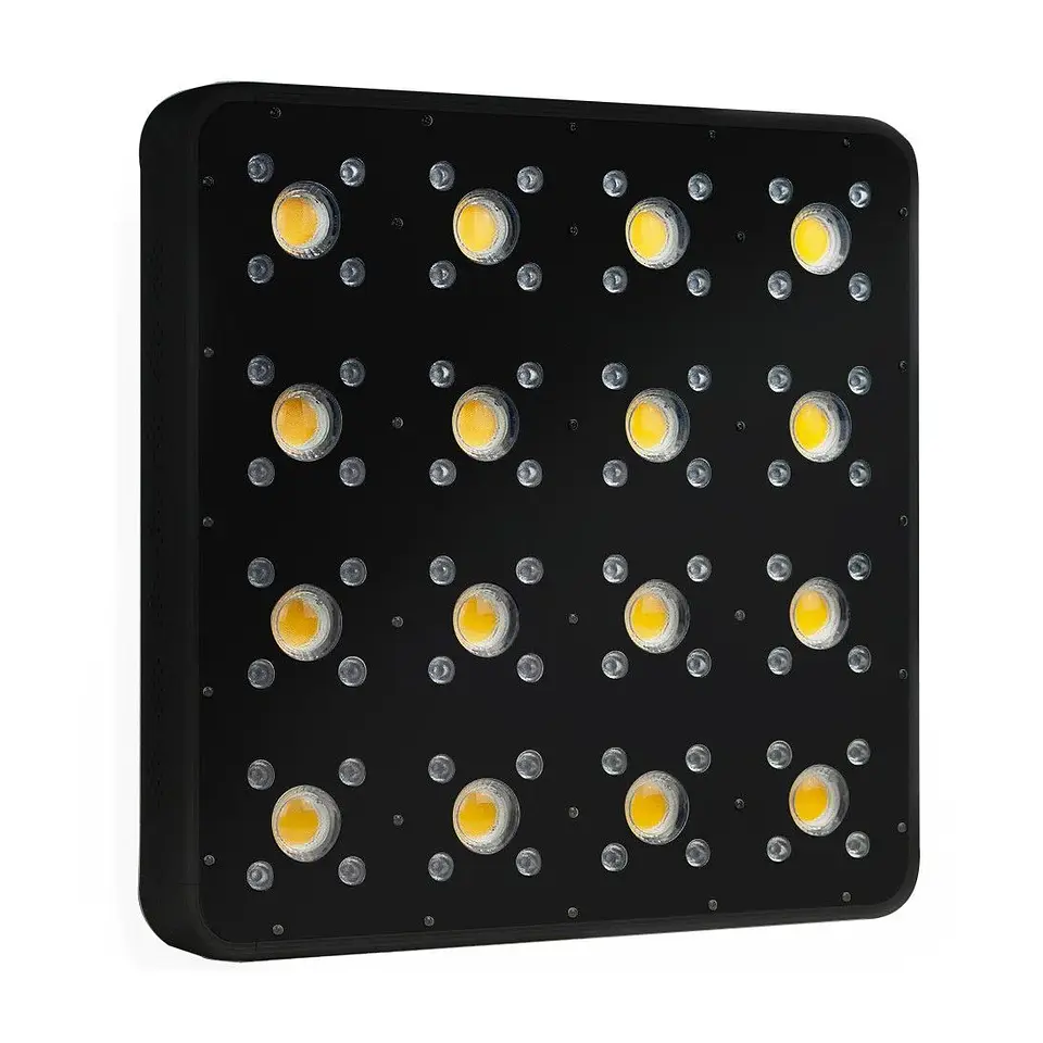 Apollo Evolution Pro 16 480W-Delight 6