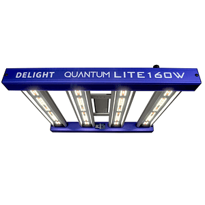 Quantum Lite 160W-Delight