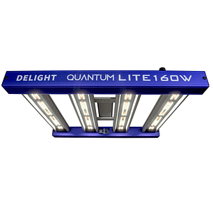 QUANTUM LITE 160W-DELIGHT