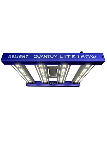 QUANTUM LITE 160W-DELIGHT 1
