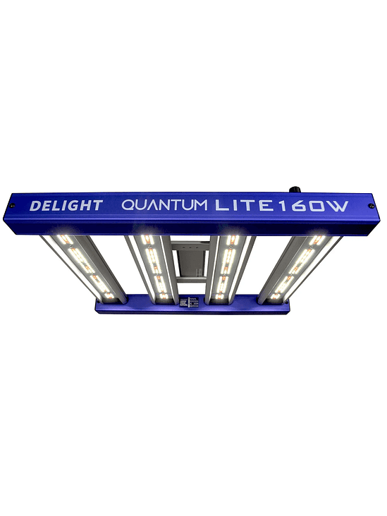 QUANTUM LITE 160W-DELIGHT 1