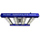 Quantum Lite 160W-Delight - Miniatura 1