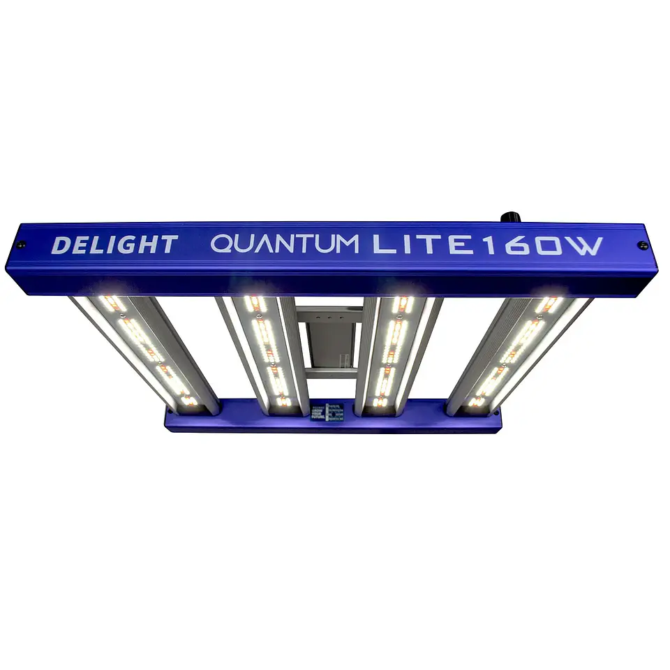 Quantum Lite 160W-Delight 1