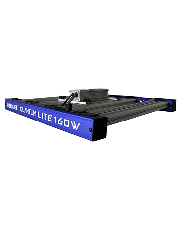 QUANTUM LITE 160W-DELIGHT 3