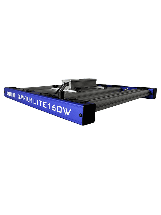 QUANTUM LITE 160W-DELIGHT 3
