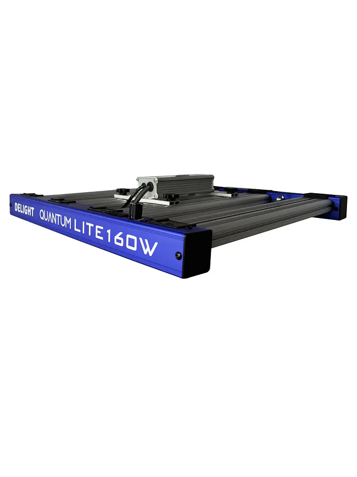 Quantum Lite 160W-Delight 4