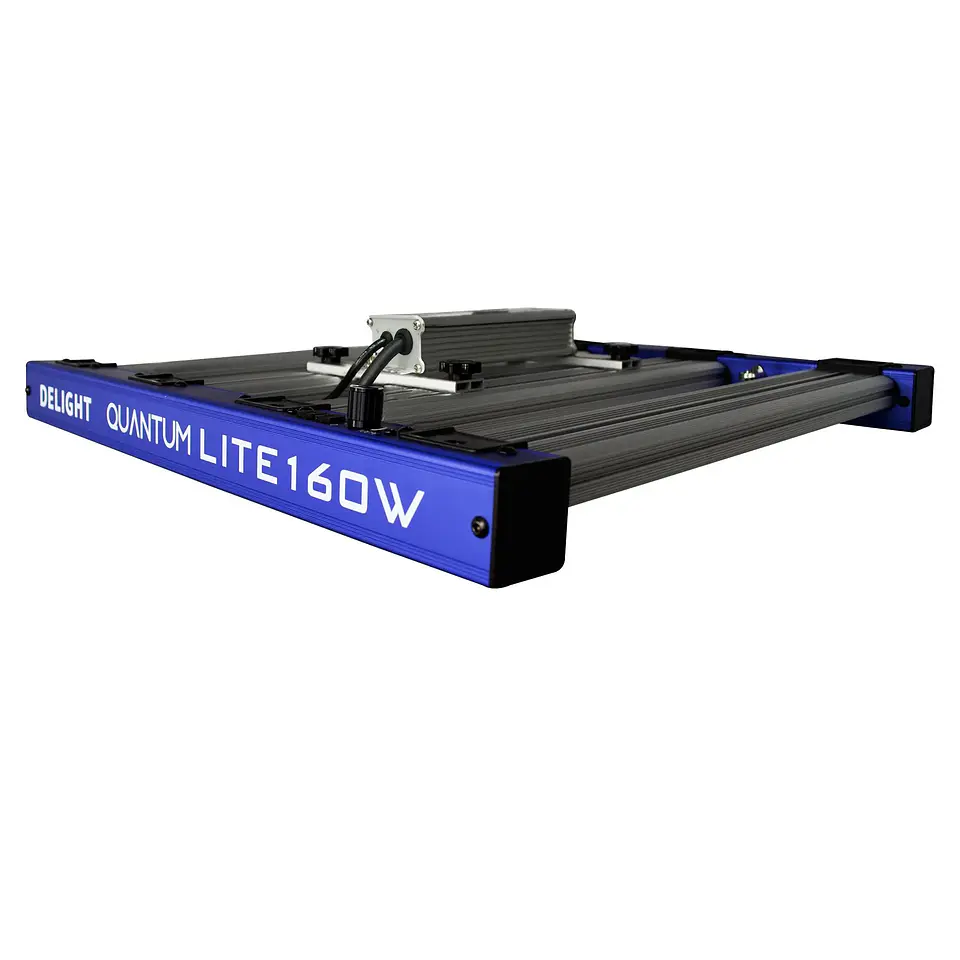 Quantum Lite 160W-Delight 4