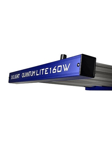 QUANTUM LITE 160W-DELIGHT 4