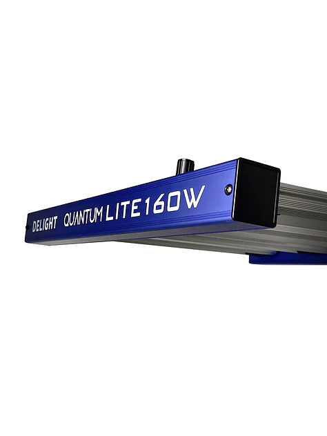 Quantum Lite 160W-Delight 5