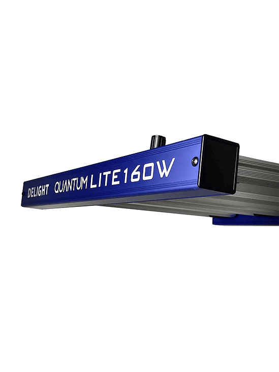 QUANTUM LITE 160W-DELIGHT 4