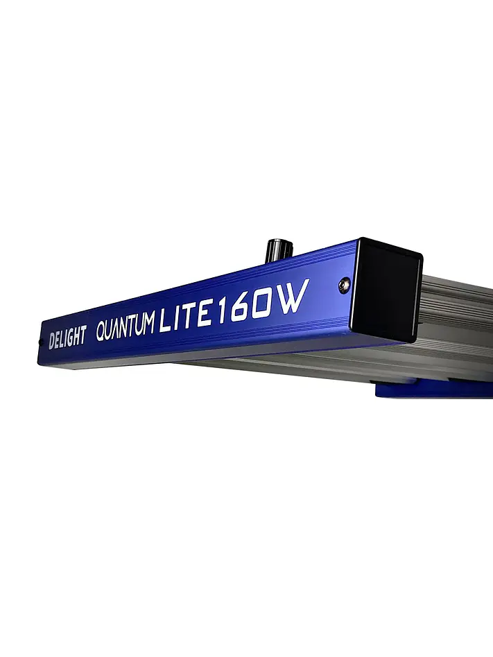 Quantum Lite 160W-Delight 5
