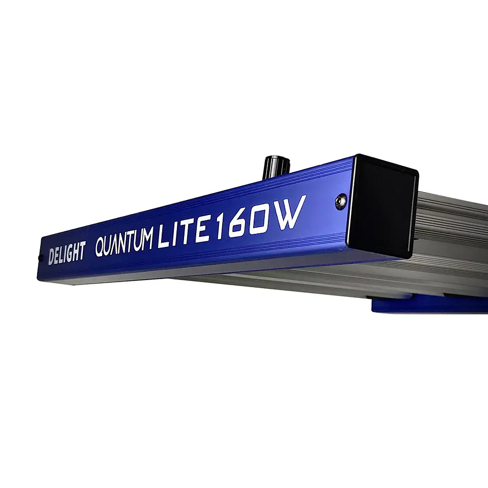 Quantum Lite 160W-Delight 5