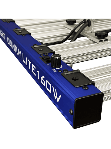 QUANTUM LITE 160W-DELIGHT 5