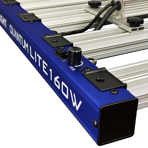 Quantum Lite 160W-Delight