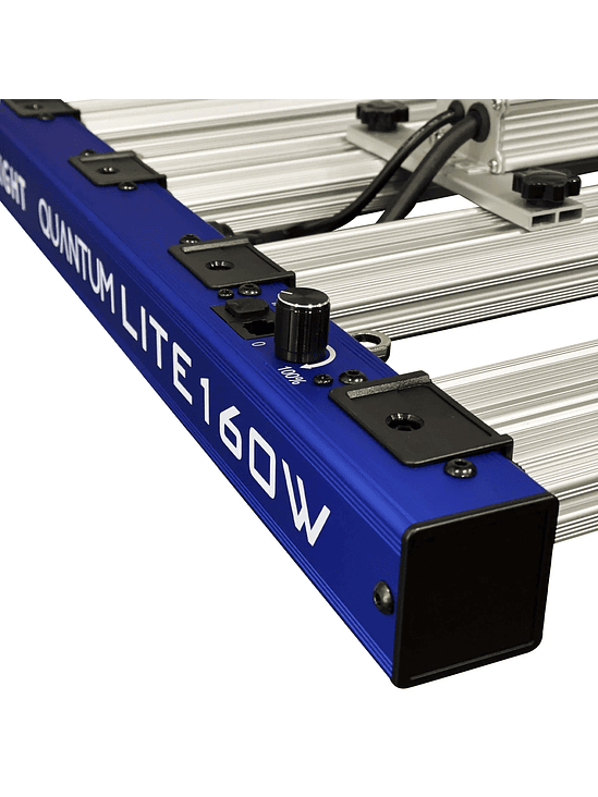 QUANTUM LITE 160W-DELIGHT 5