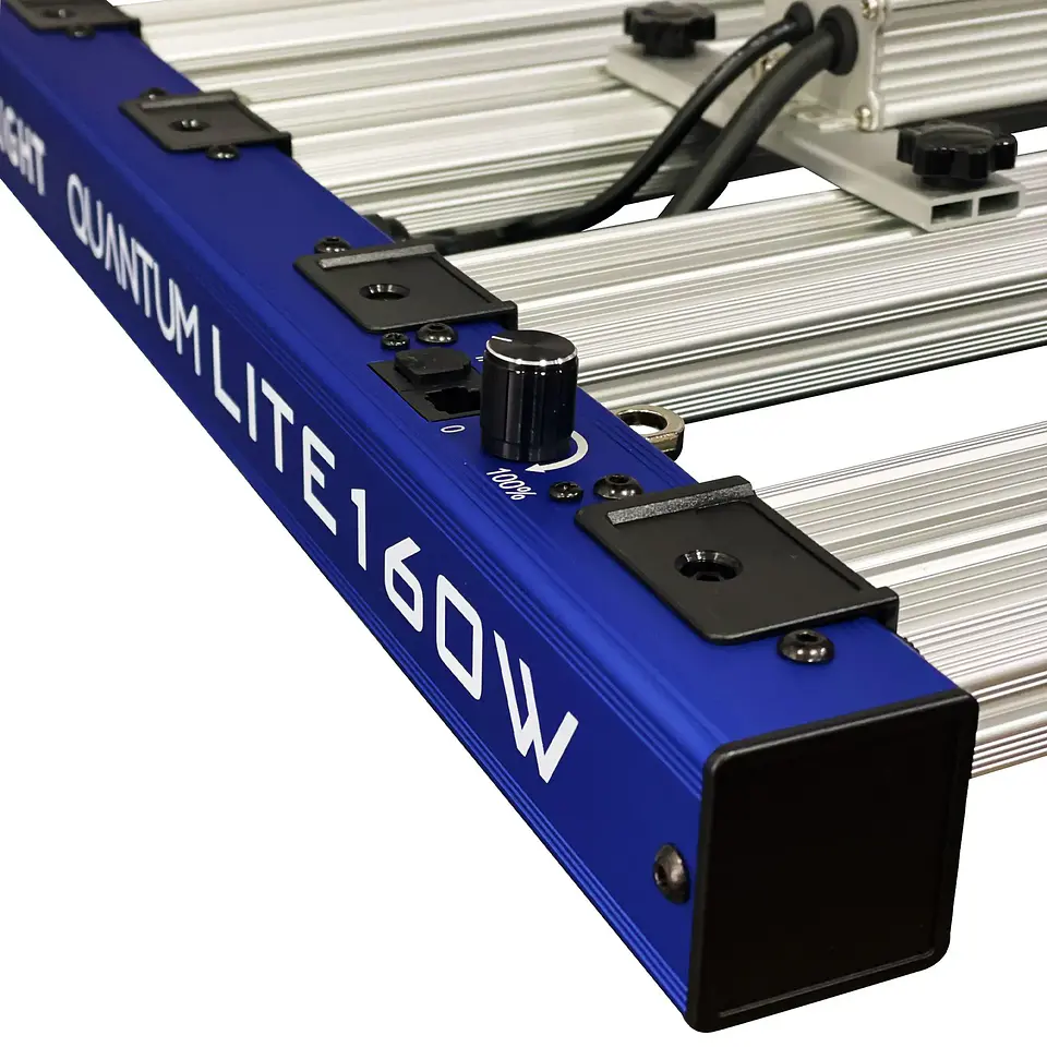 Quantum Lite 160W-Delight 2
