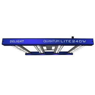QUANTUM LITE 240W-DELIGHT