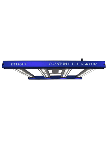 QUANTUM LITE 240W-DELIGHT 1