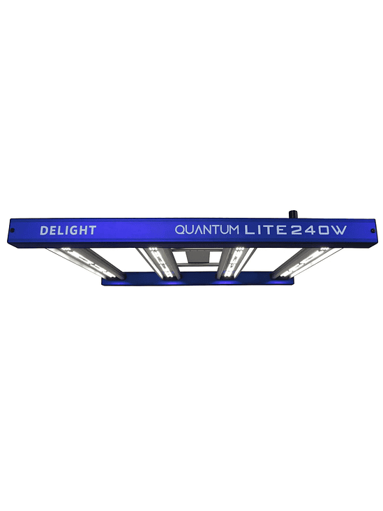 QUANTUM LITE 240W-DELIGHT 1