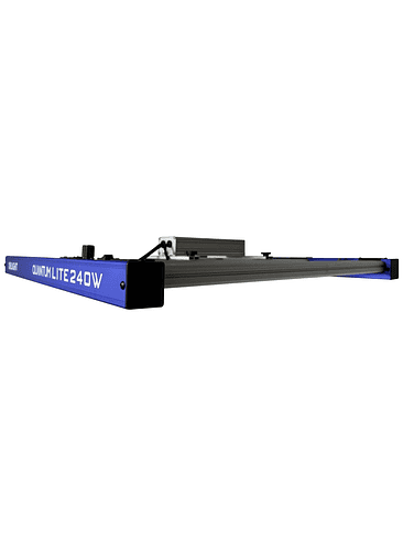 QUANTUM LITE 240W-DELIGHT 2