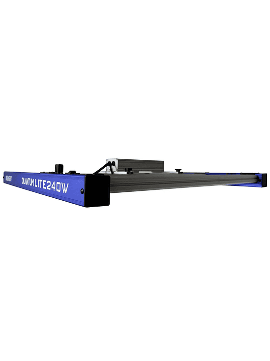 QUANTUM LITE 240W-DELIGHT 2