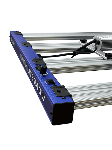 QUANTUM LITE 240W-DELIGHT 4