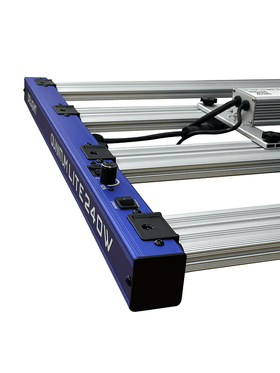 QUANTUM LITE 240W-DELIGHT 4