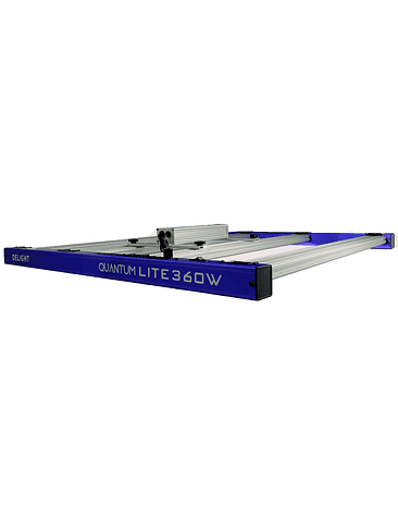 QUANTUM LITE 360W-DELIGHT 3