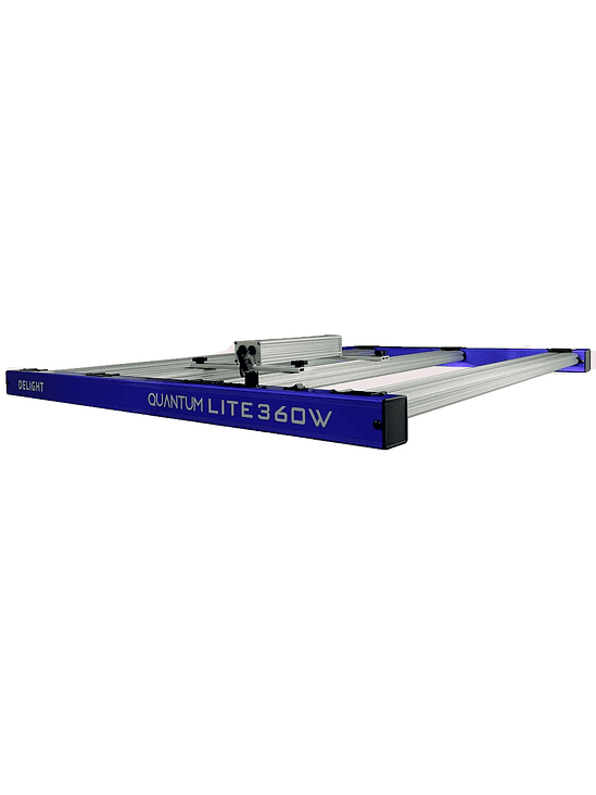 QUANTUM LITE 360W-DELIGHT 3