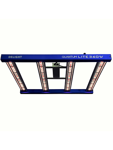 QUANTUM LITE 360W-DELIGHT 1