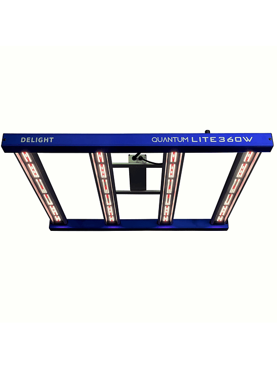 QUANTUM LITE 360W-DELIGHT 1