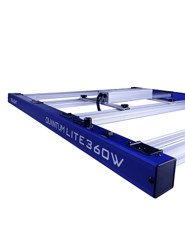QUANTUM LITE 360W-DELIGHT 4