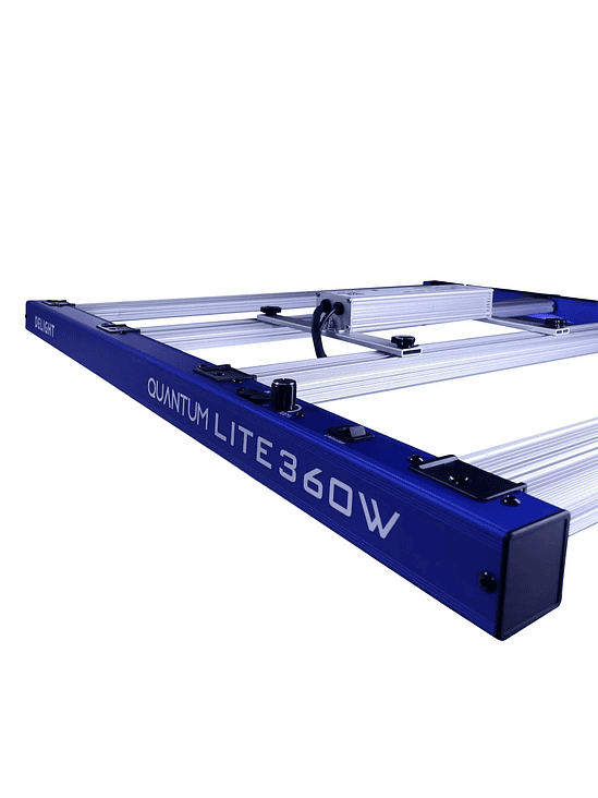 QUANTUM LITE 360W-DELIGHT 4