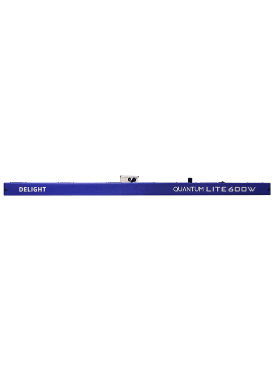 QUANTUM LITE 600W-DELIGHT 2