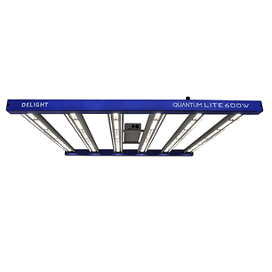QUANTUM LITE 600W-DELIGHT