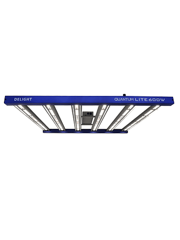 QUANTUM LITE 600W-DELIGHT 1