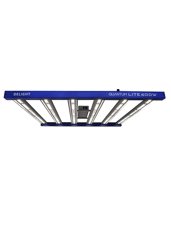 QUANTUM LITE 600W-DELIGHT 1