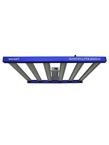 QUANTUM LITE 600W-DELIGHT 3