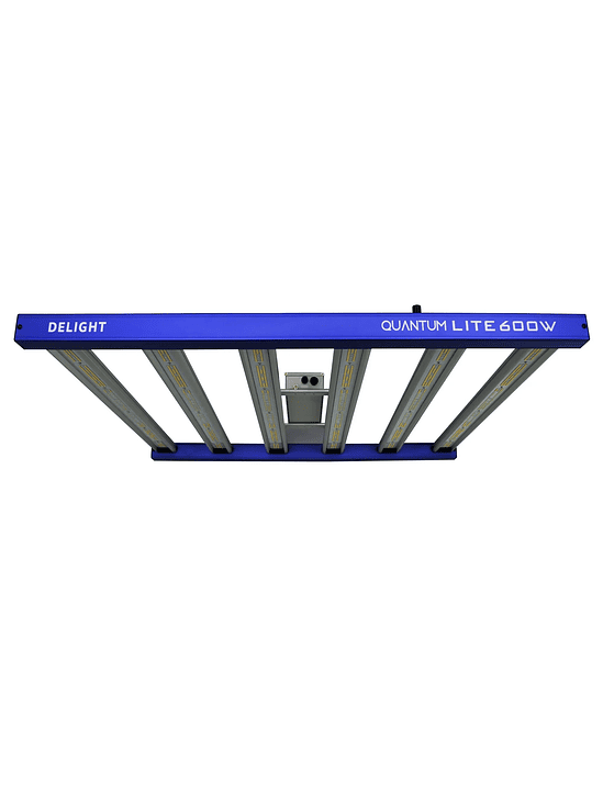 QUANTUM LITE 600W-DELIGHT 3