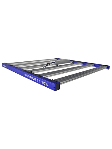 QUANTUM LITE 600W-DELIGHT 4