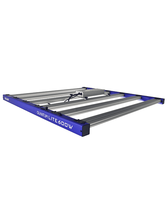QUANTUM LITE 600W-DELIGHT 4