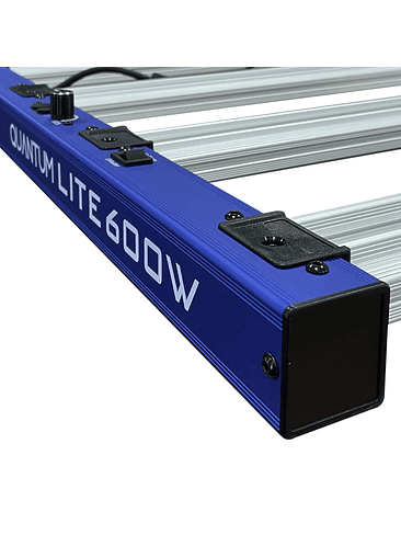 QUANTUM LITE 600W-DELIGHT 5