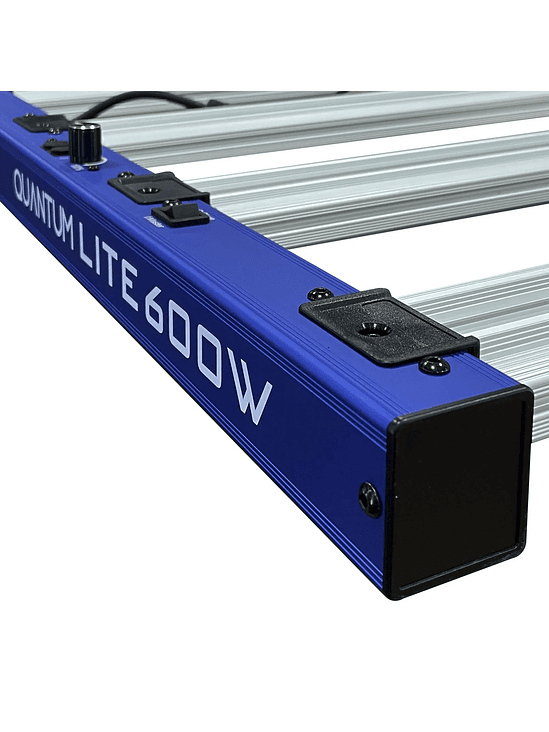 QUANTUM LITE 600W-DELIGHT 5