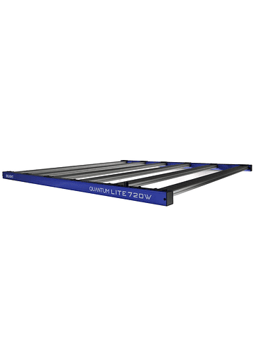 QUANTUM LITE 720W-DELIGHT 4