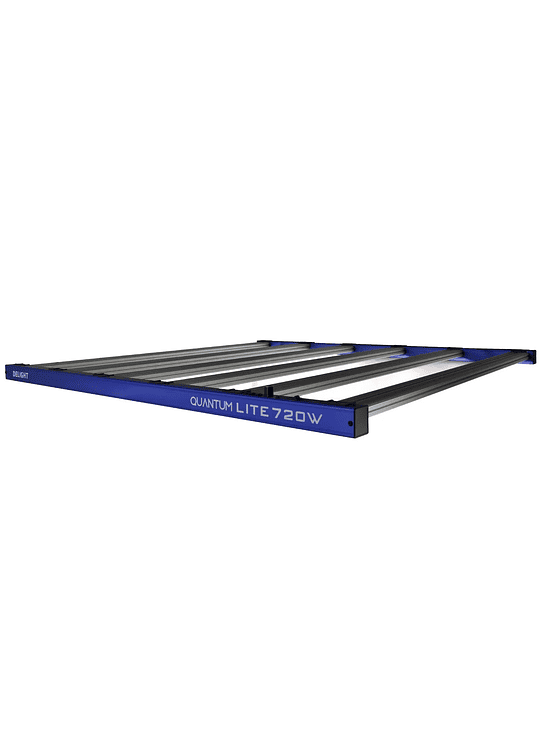 QUANTUM LITE 720W-DELIGHT 4
