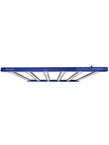 QUANTUM LITE 720W-DELIGHT 1