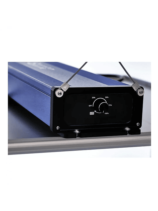 QUANTUM SQUARE C320-DELIGHT 4