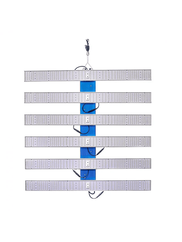 QUANTUM SQUARE L520-DELIGHT 1