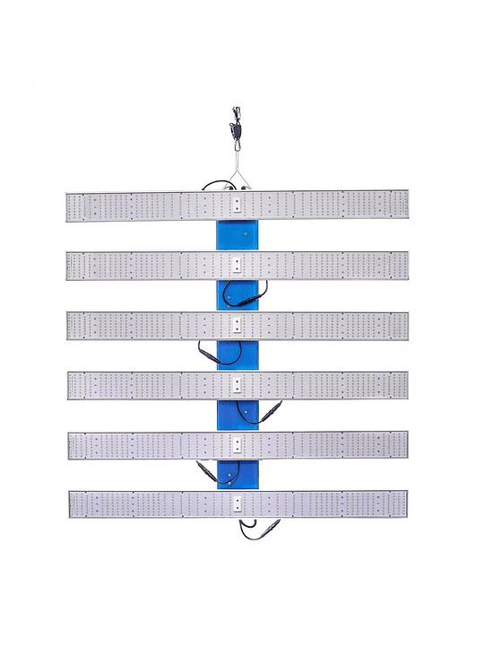 QUANTUM SQUARE L520-DELIGHT 1