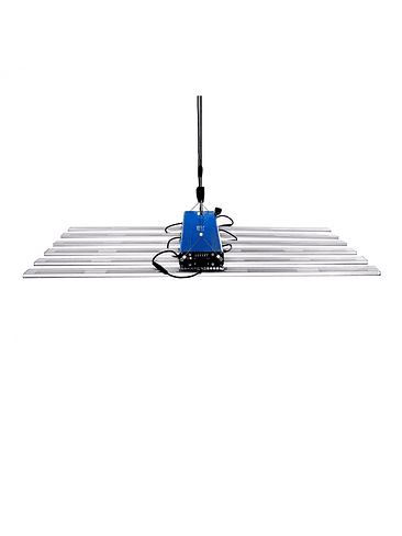 QUANTUM SQUARE L720-DELIGHT 2